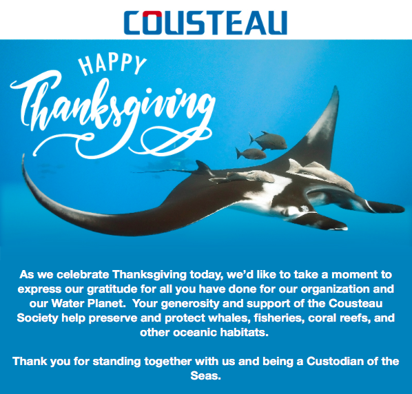 Happy Thanksgiving from Cousteau