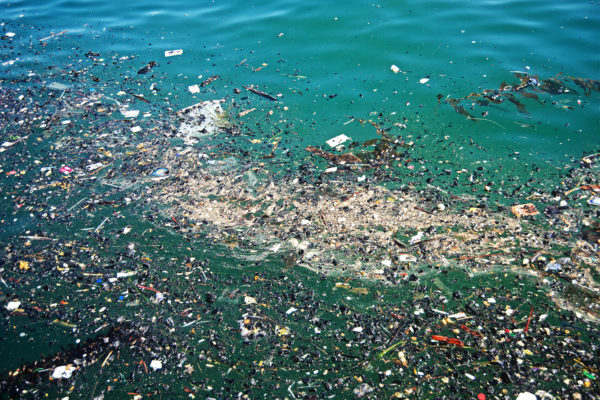 Polluants retrouvés dans les fosses océaniques les plus profondes